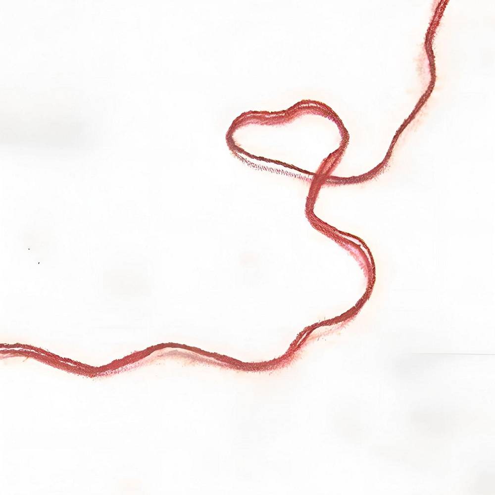Эрнест Геворгян - Yarn es im yar