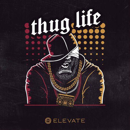 Elevate,Matt Foster - My Life