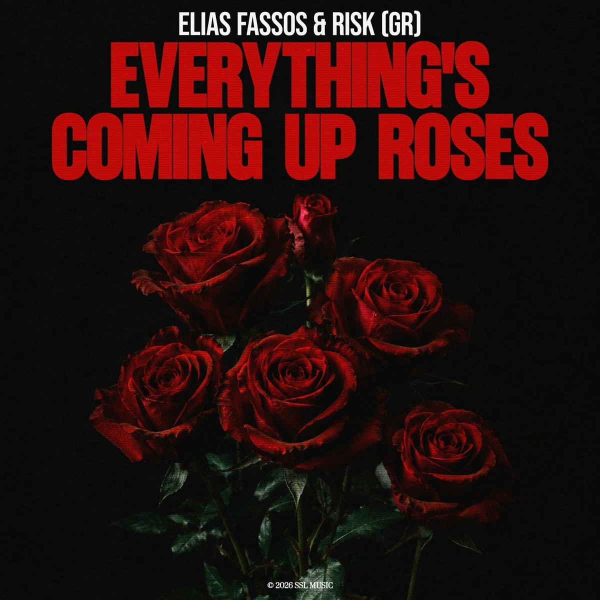 Everything's Coming Up Roses - Elias Fassos, RisK (GR)
