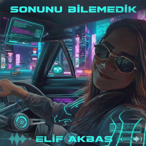 Sonunu Bilemedik - Elif Akbaş