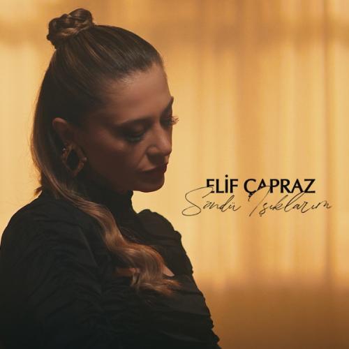 Söndü Işıklarım - Elif Çapraz