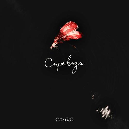Стрекоза - Еликс