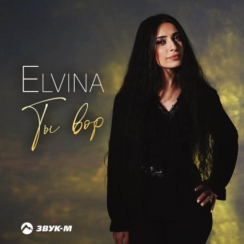 Elvina - Ты вор
