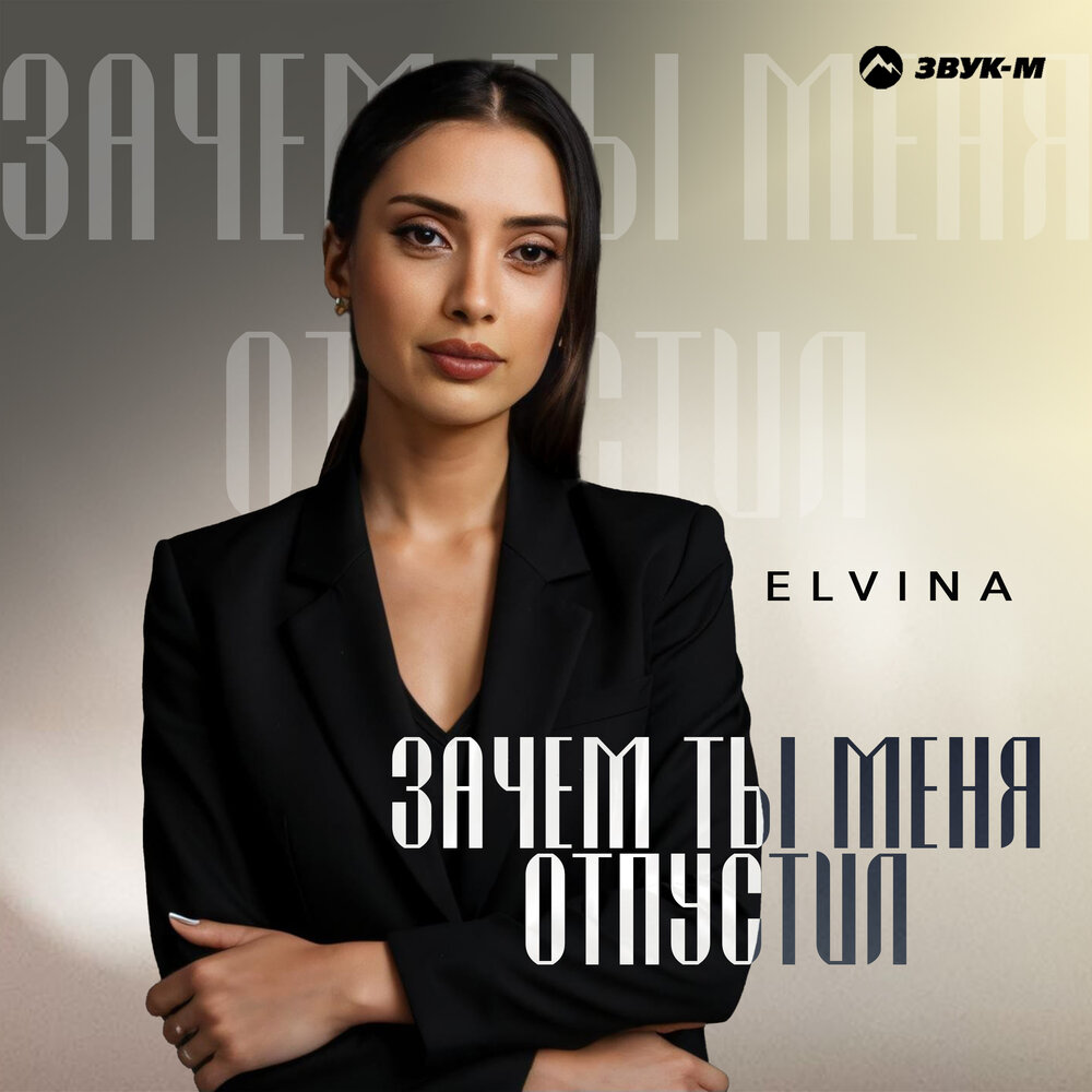 Зачем ты меня отпустил - Elvina