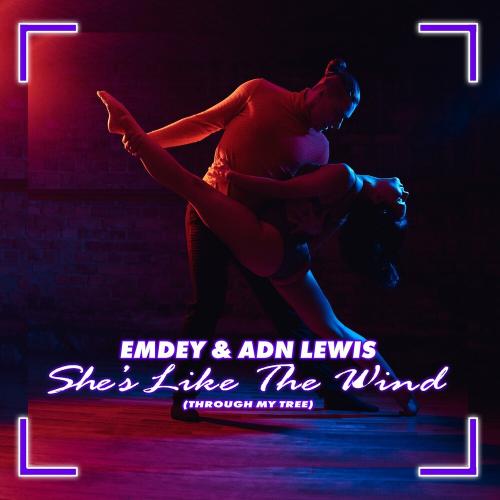 Emdey feat. Adn Lewis - She Is Like The Wind (Through My Tree)