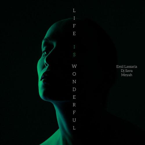 Life Is Wonderful - Emil Lassaria, DJ Sava & Meyah