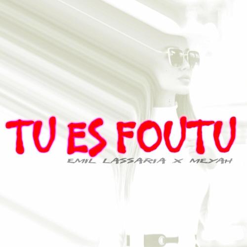 Tu Es Foutu - Emil Lassaria feat. Meyah