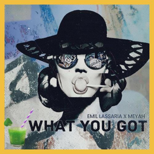 What You Got - Emil Lassaria feat. Meyah