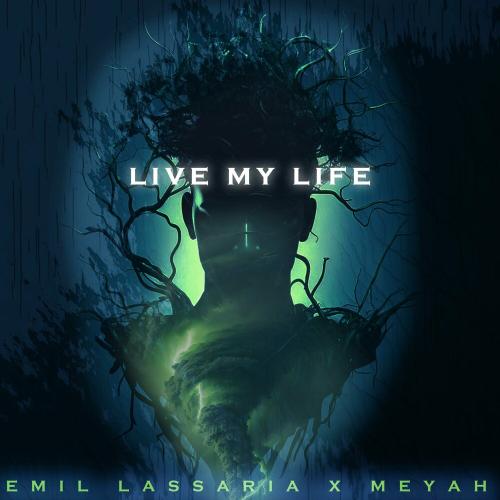 Live My Life (Live) - Emil Lassaria & Meyah