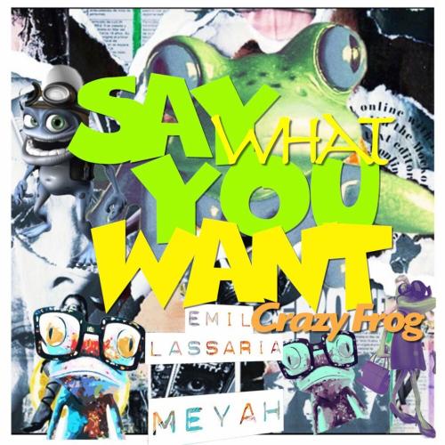 Say What You Want - Emil Lassaria & Meyah