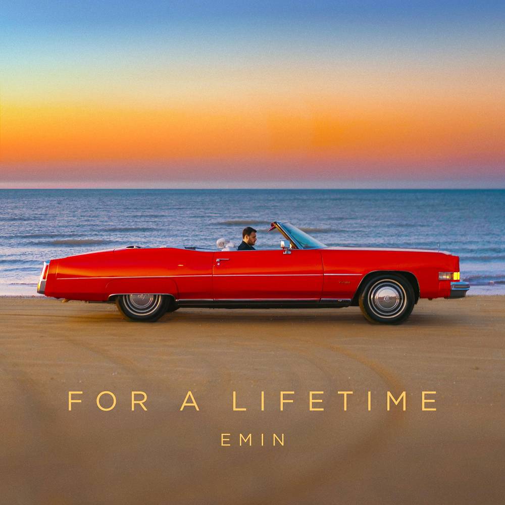 For A Lifetime - EMIN