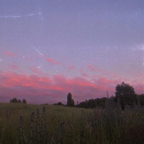 EMPTYCAT, LXNYA - WW