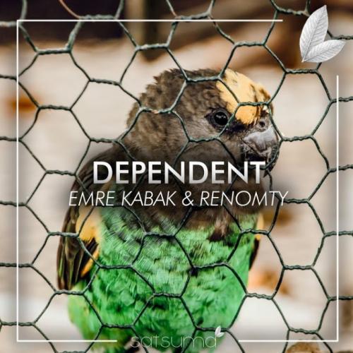 Emre Kabak & Renomty - Dependent