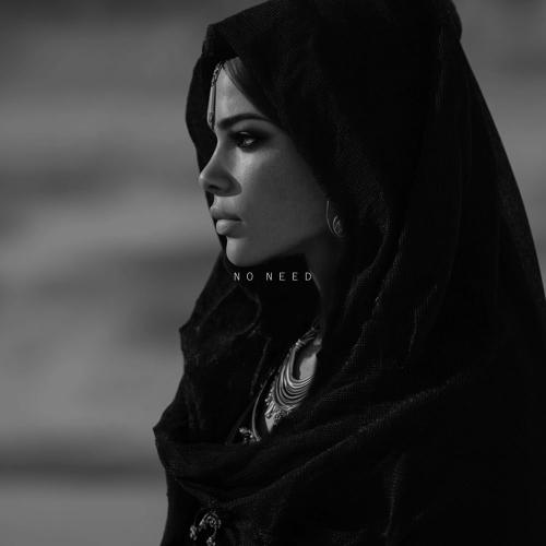 Emre Yilmaz - No Need