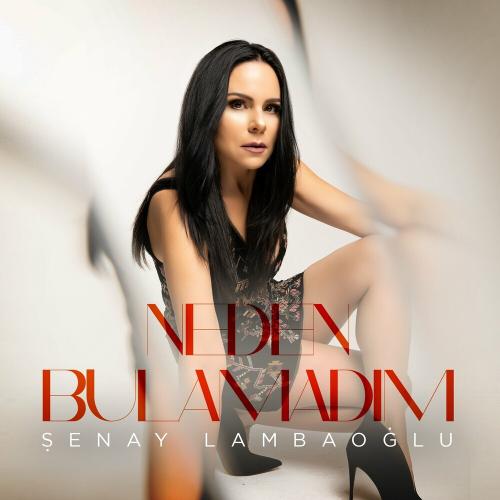 Neden Bulamadım - Şenay Lambaoğlu