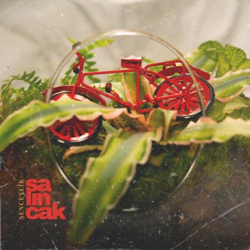 Şenceylik - Salıncak