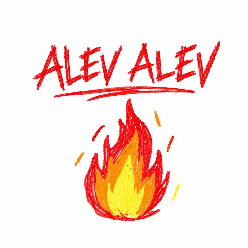 Alev Alev - ENES 61