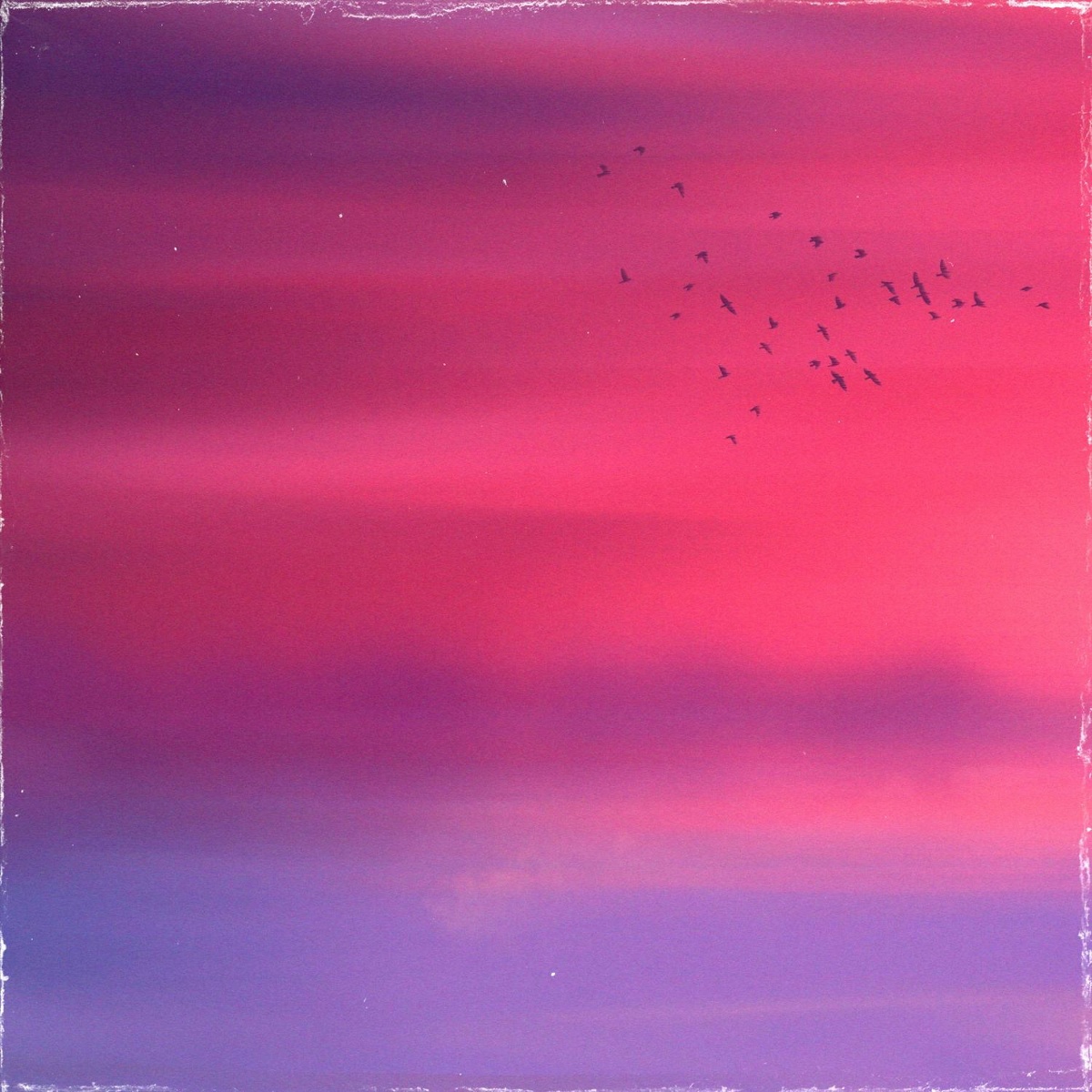 so long - enisieda