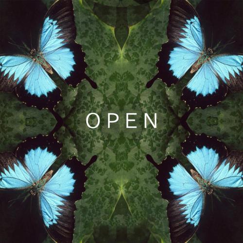 Equanimous, fields. & Ashley Willfire - Open