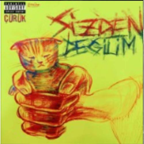 Sizden Degilim - Erdem