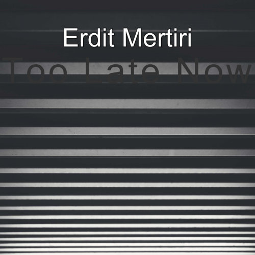 Too Late Now - Erdit Mertiri