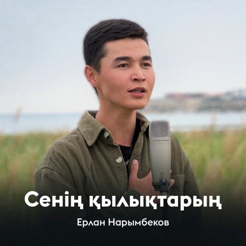 Ерлан Нарымбеков - Сенің қылықтарың