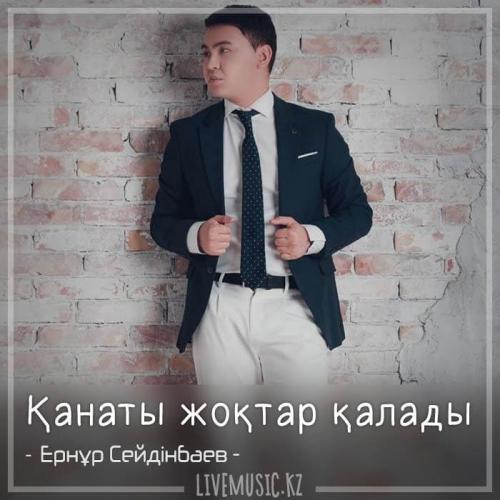Ернұр Сейдінбаев - Қанаты жоқтар қалады. (2018)