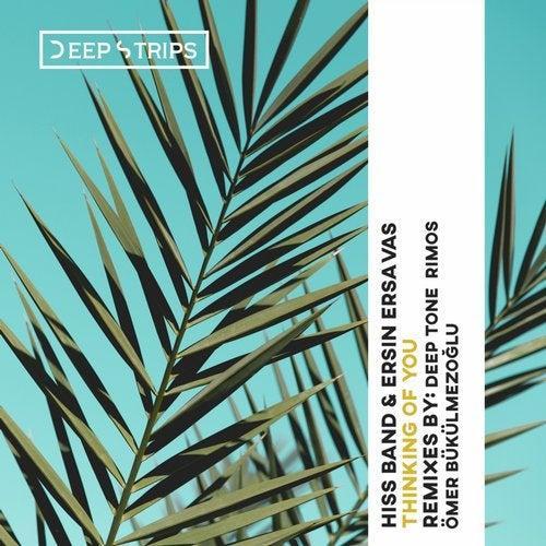 Ersin Ersavas, Hiss Band - Thinking of You (Original Mix)