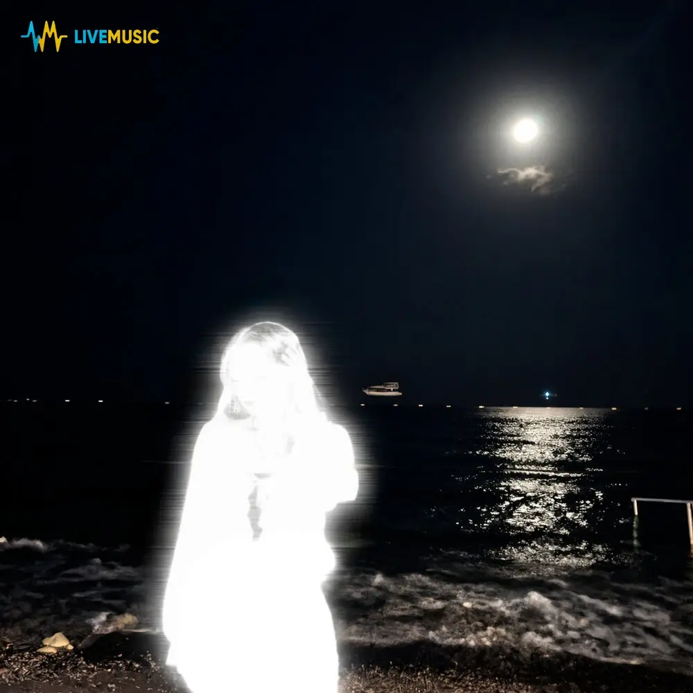 night - ersssdi