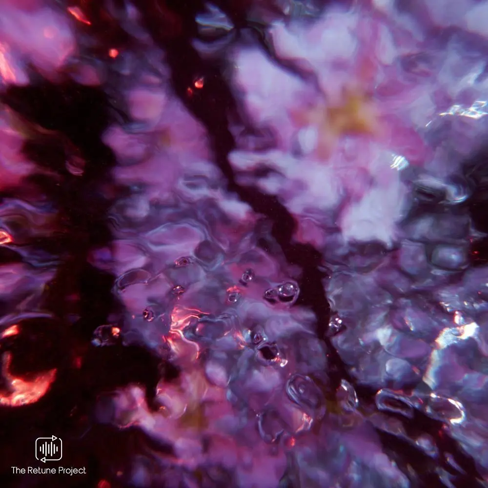 Nectar - Erwin Do & Sineg & The Retune Project