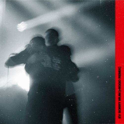EV & Higgo - Sorry Mum (Higgo Remix)