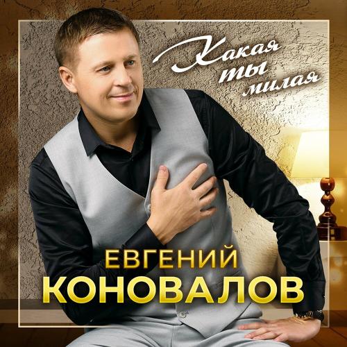 Какая ты милая - Евгений Коновалов