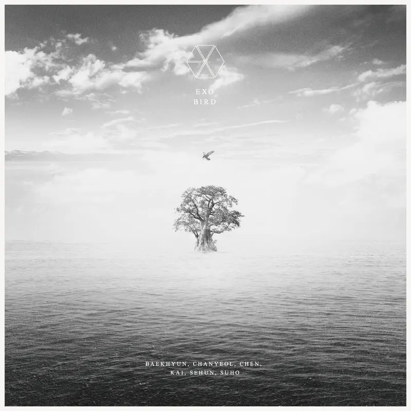 Bird - EXO