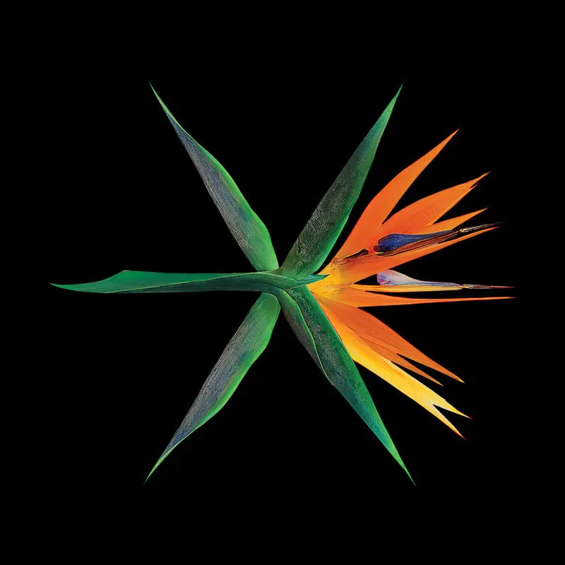 寒噤 Chill (Chinese Version) - EXO