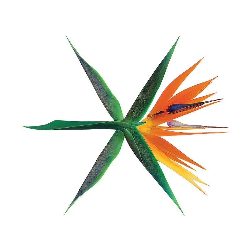 다이아몬드 Diamond - EXO