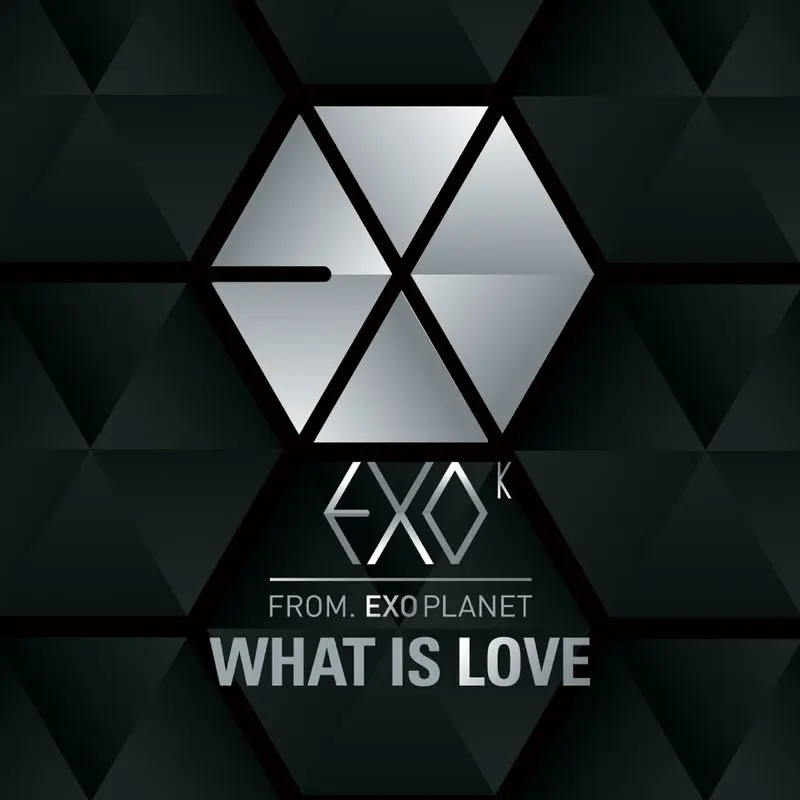 What Is Love (Korean Version) - EXO