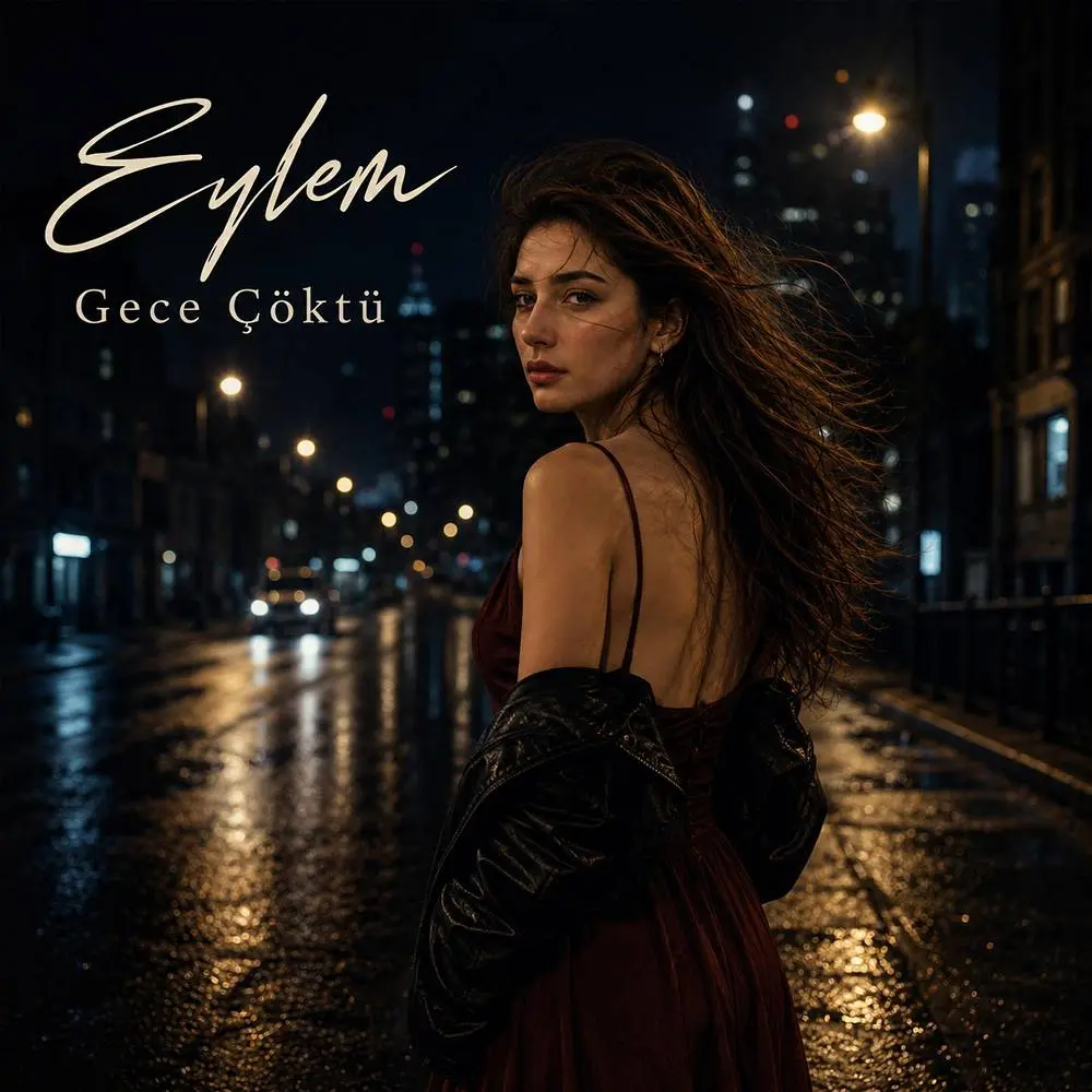 Gece Çöktü - Eylem