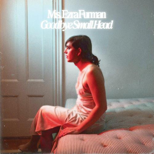 Ezra Furman - Sudden Storm