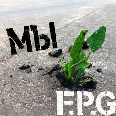 Мы - F.P.G.
