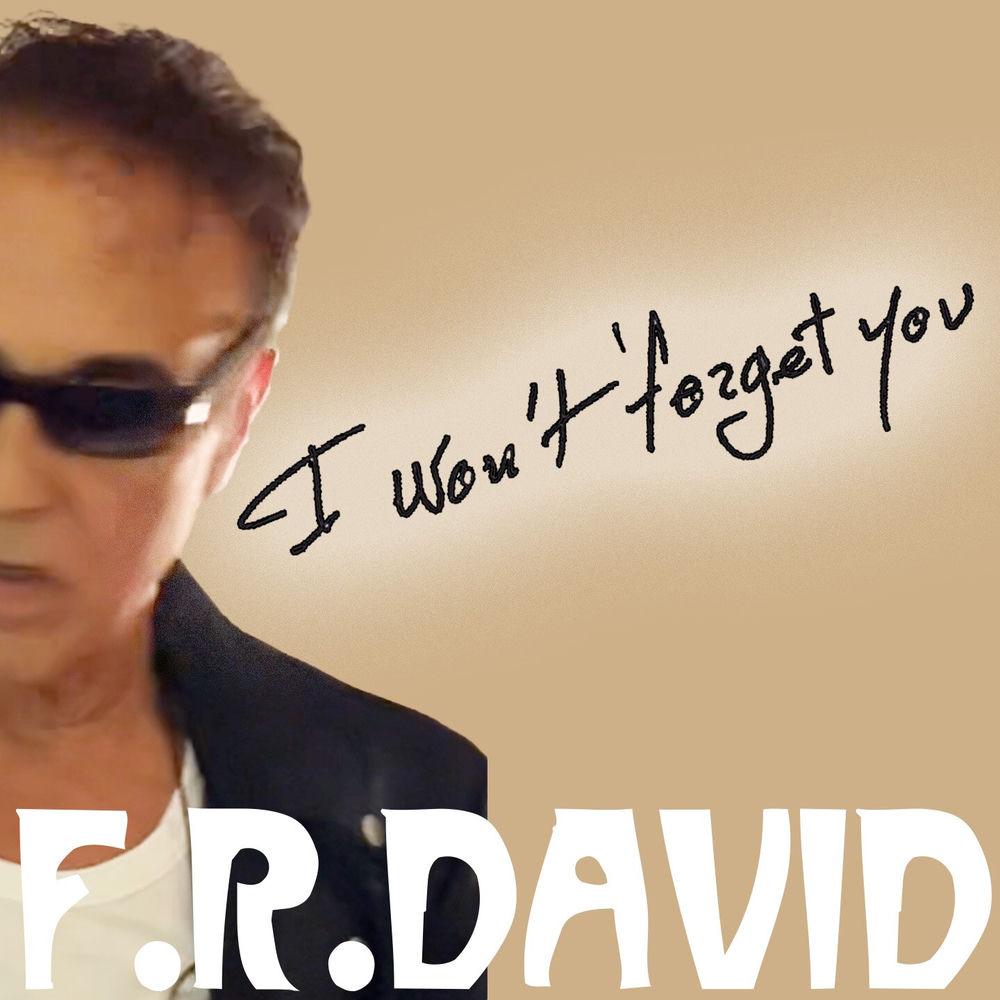 I Won't Forget You - F.R. David