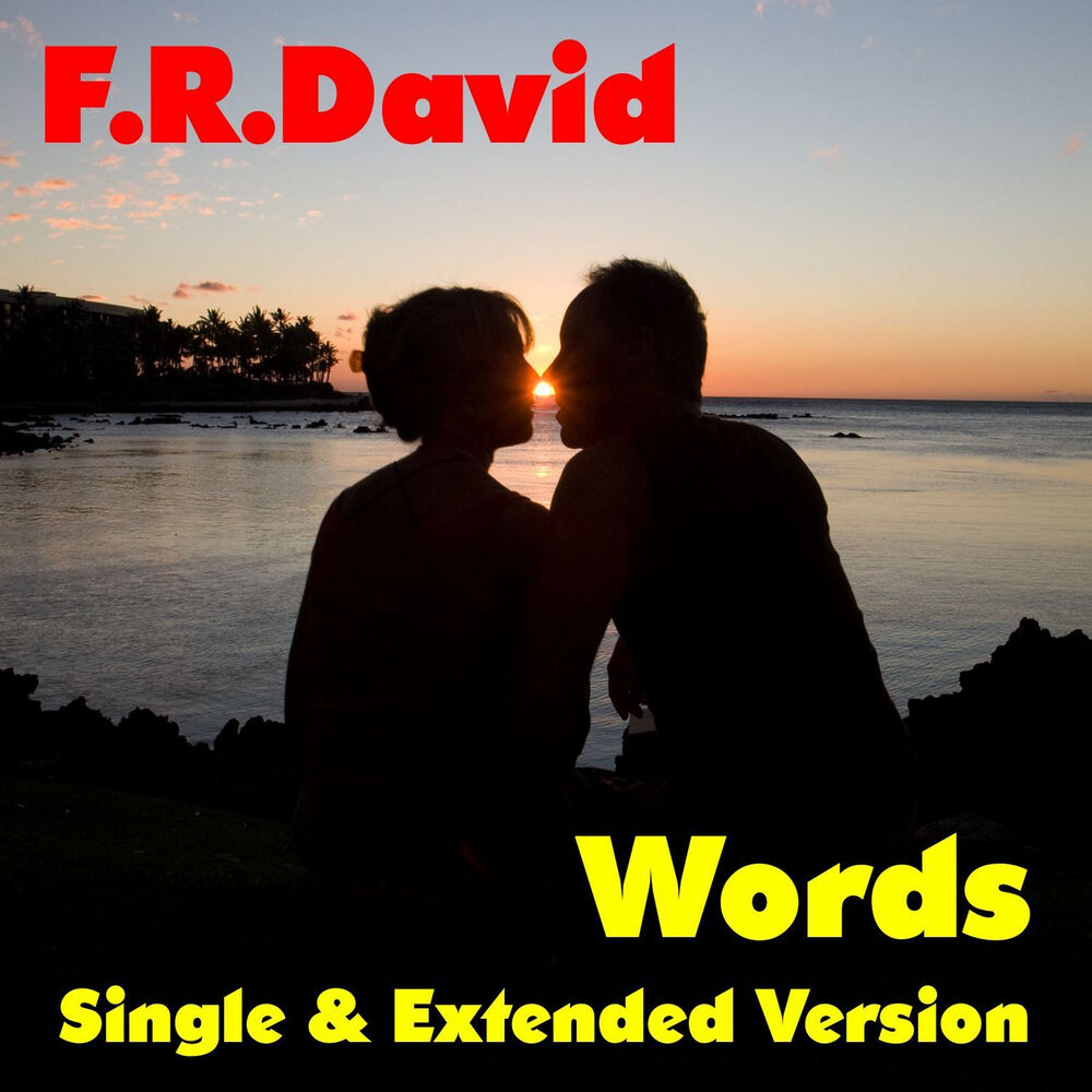 Words Extended Version - F.R. David