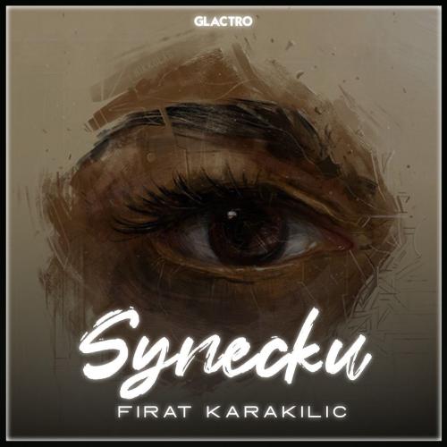 Fırat Karakılıç - Synecku