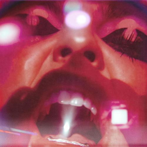 FAANGS - Dont Blame Me