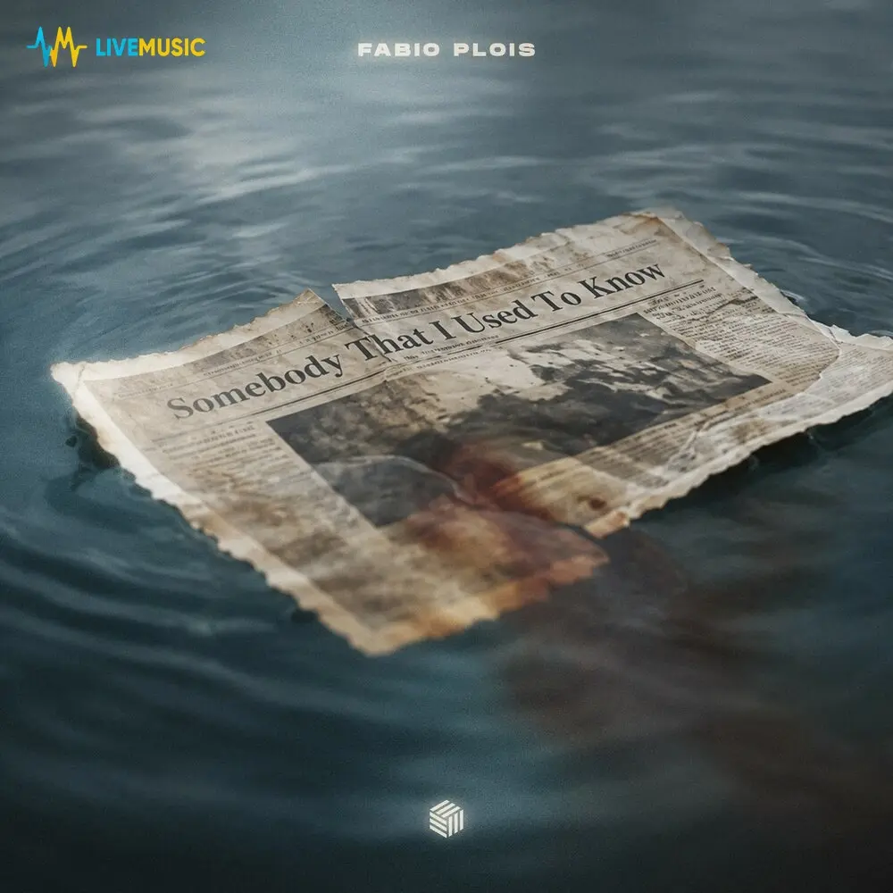 Somebody That I Used to Know (Extended Mix) - Fabio Plois