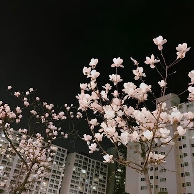 flowers - fadinglight