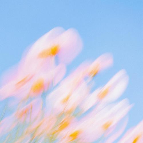 Falden & PEARL - Change of Driver