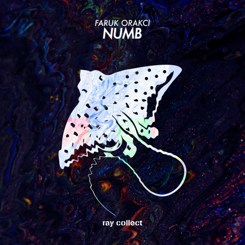 Faruk Orakci - Numb