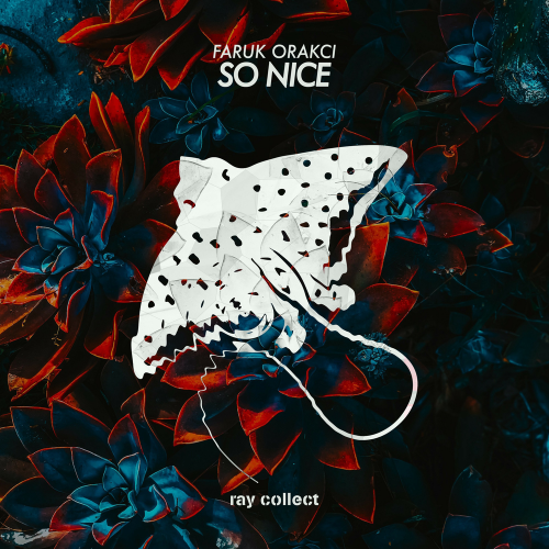 So Nice - Faruk Orakci