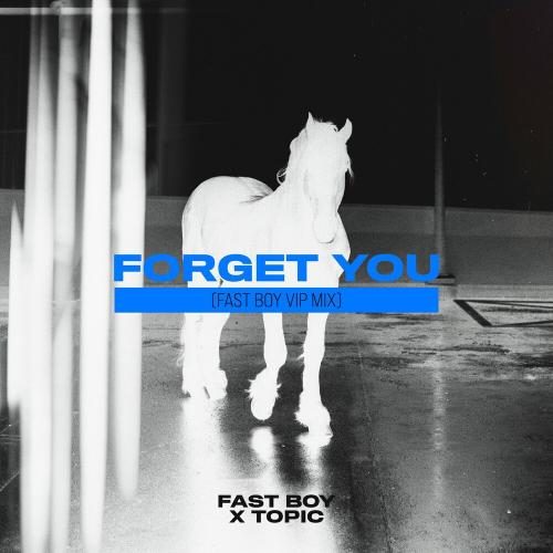 Fast Boy feat. Topic - Forget You (Fast Boy VIP Mix)