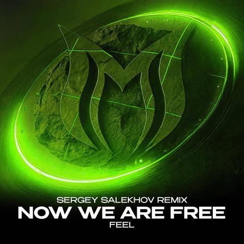 Feel - Now We Are Free (Sergey Salekhov Remix)